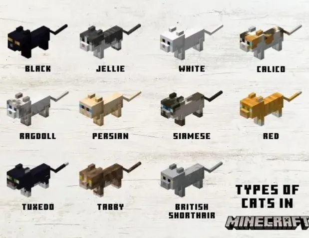 Cats in Minecraft