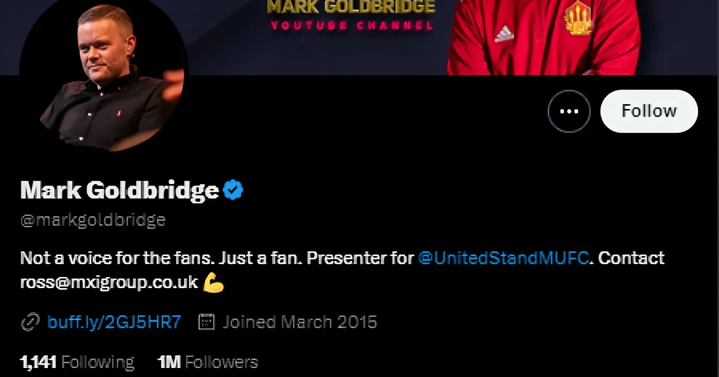 Mark Goldbridge X account