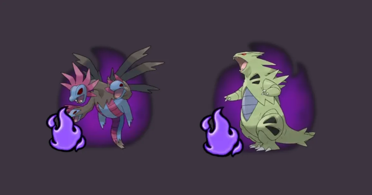 Shadow Tyranitar & Shadow Hydreigon
