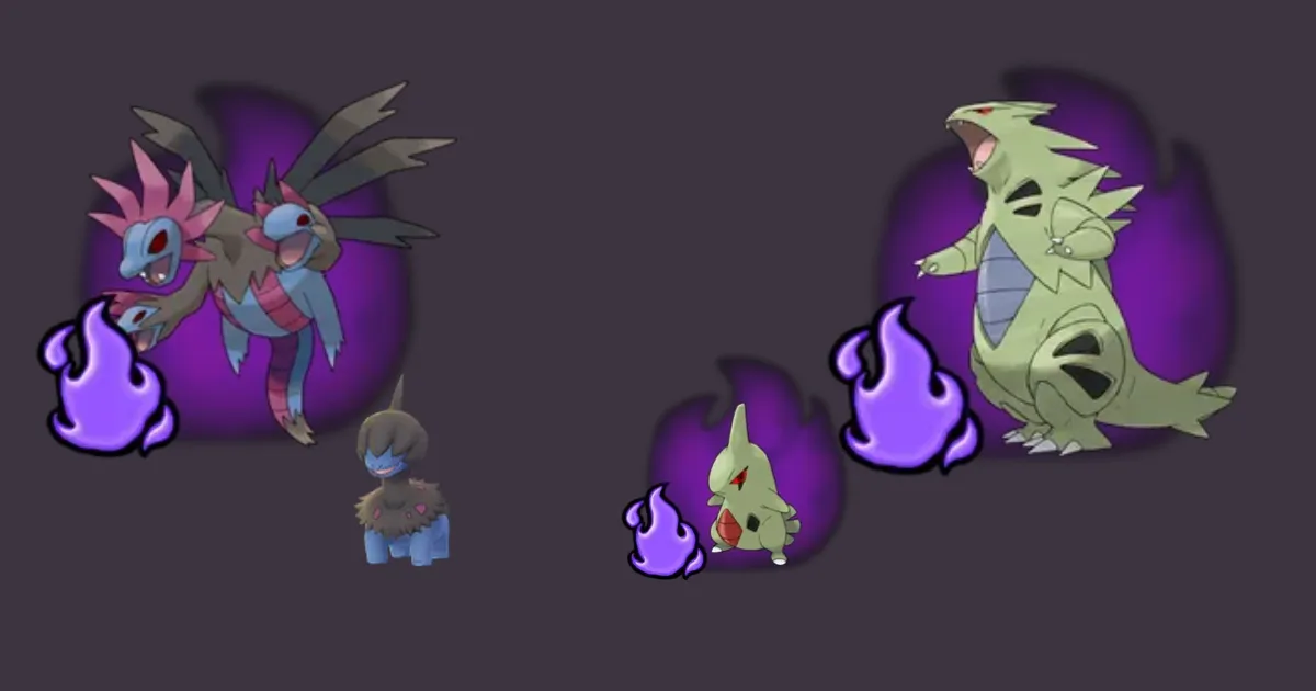 Shadow Tyranitar vs Shadow Hydreigon