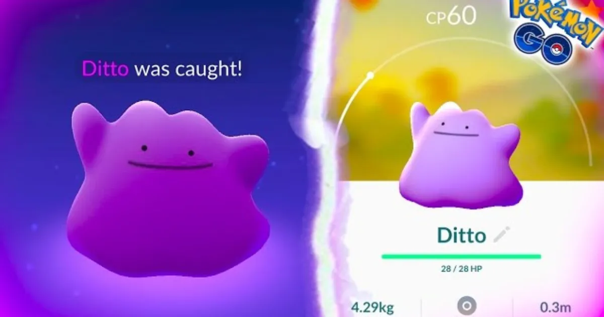 Ditto Pokemon GO