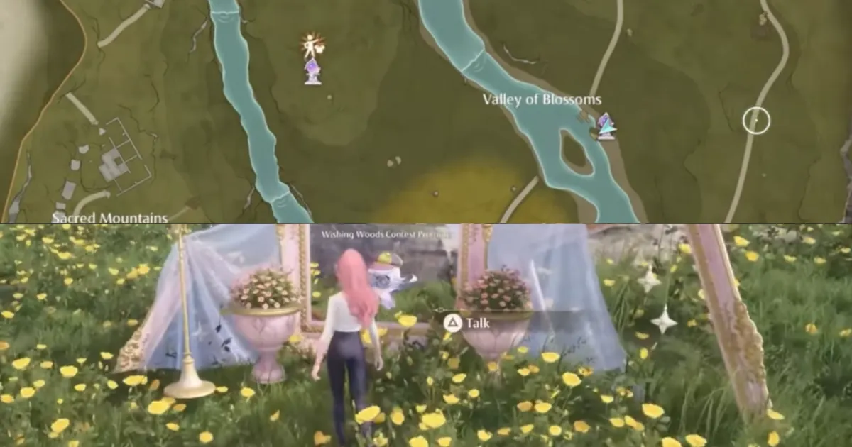 Valley of Blossoms Stamp Infinity Nikki