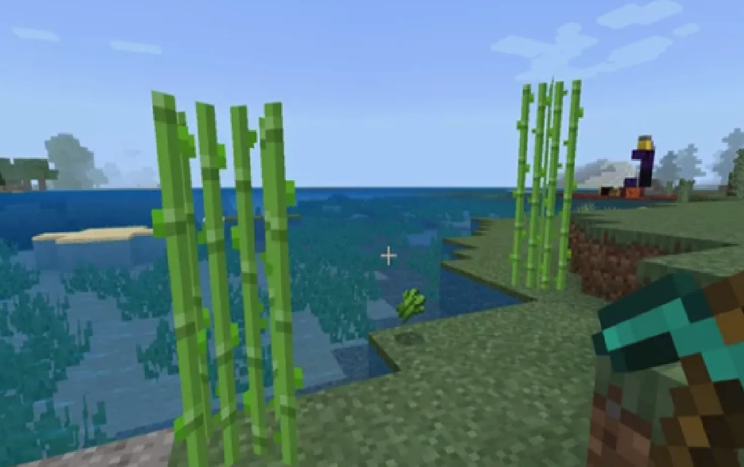 Image Courtesy: Lifewire Magazine